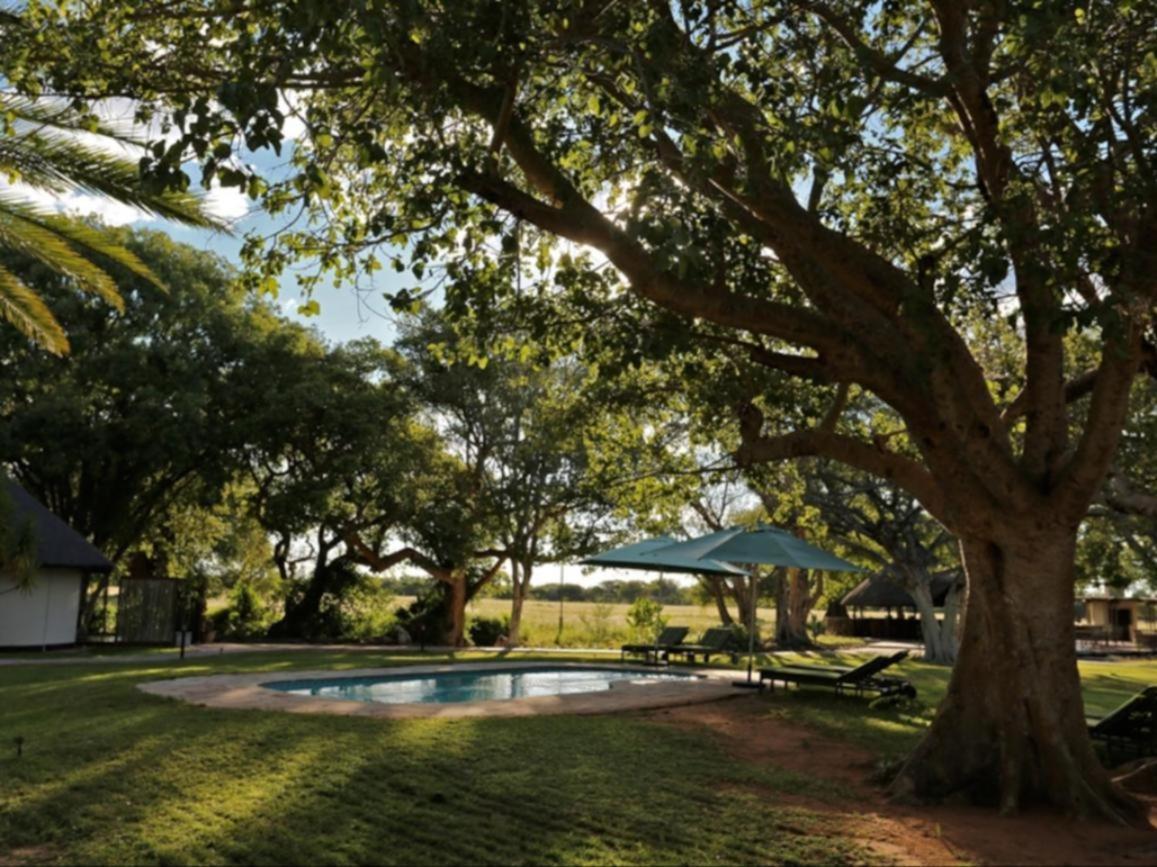 La Rochelle Lodge Namibia Цумеб Экстерьер фото